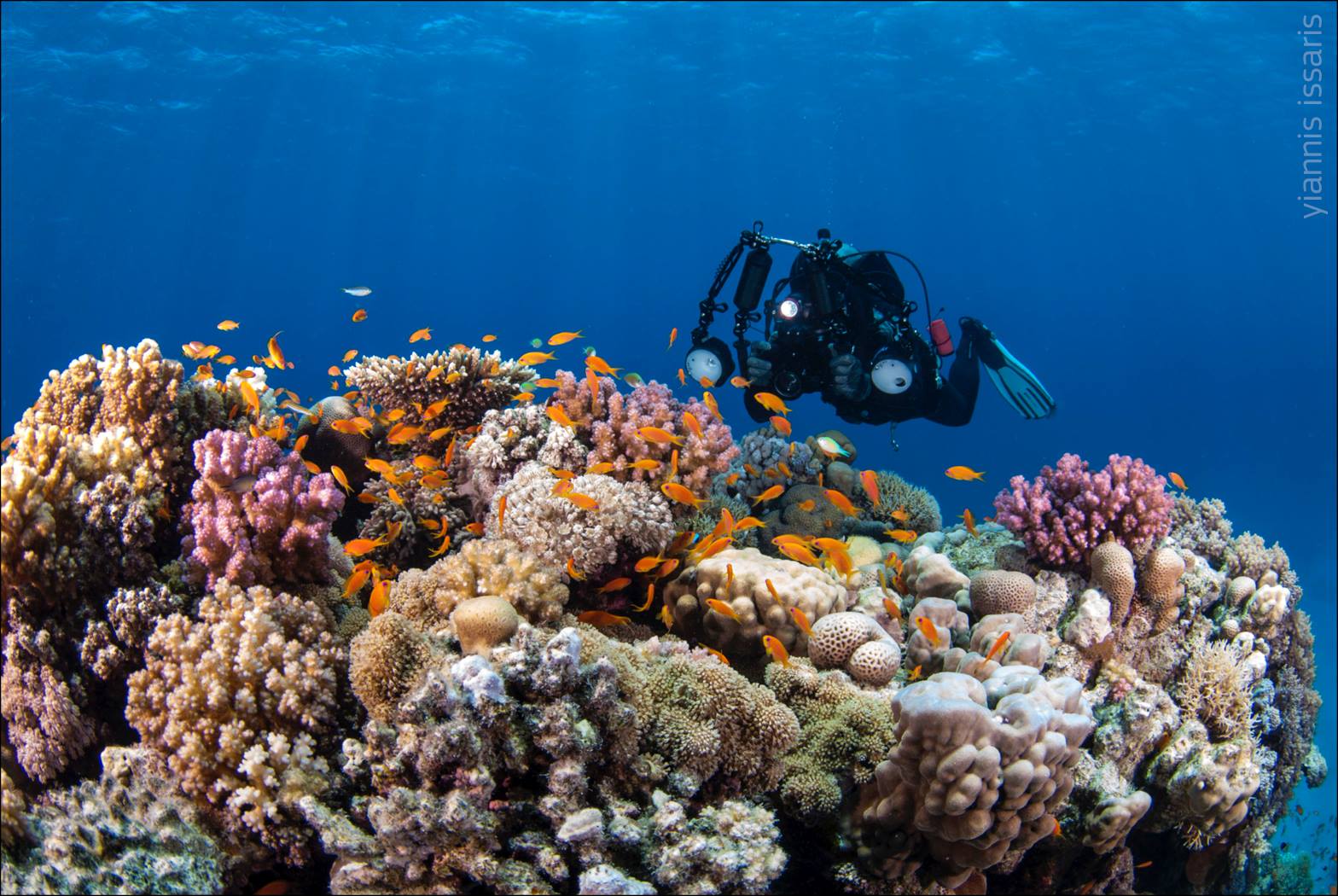 Wreck and corals in Red Sea